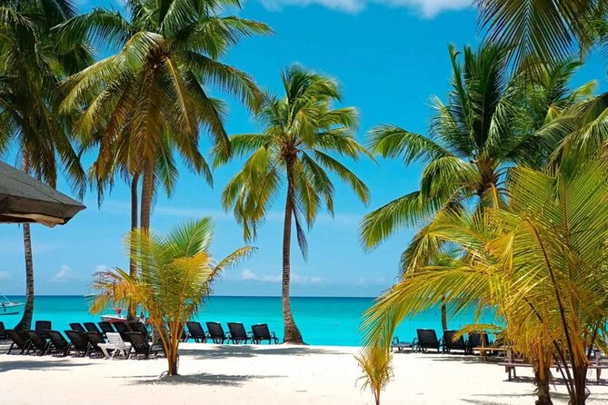 Perfect Day at Saona Island by Speedboat - Completely Private - Key points to know before you go