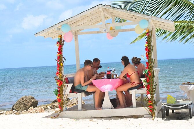 Perfect Day at Saona Island by Speedboat - Completely Private - Drinks, champagne, and the practical comfort level