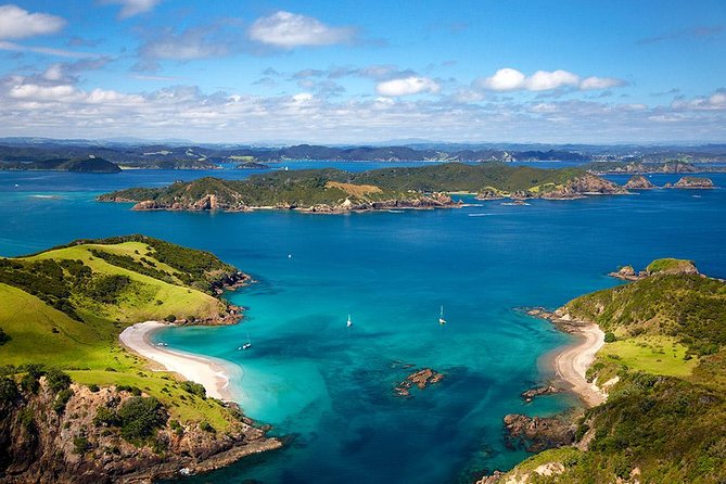Phantom Sailing Bay of Islands - Who will enjoy Phantom Sailing most