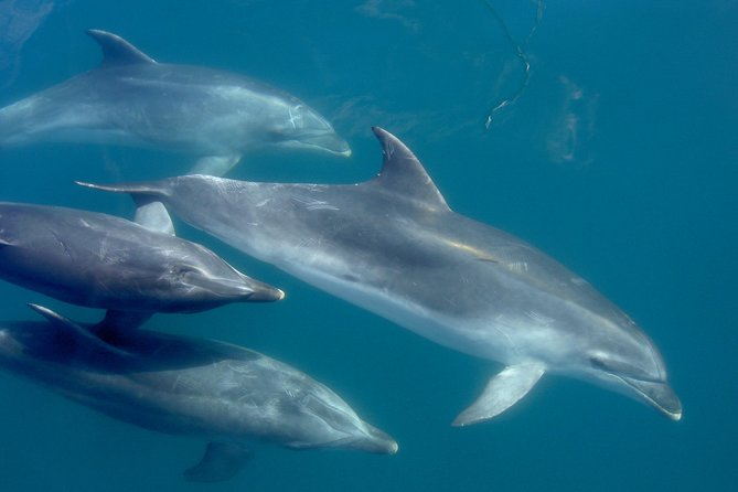 Phantom Sailing Bay of Islands - Why the 10-person limit matters