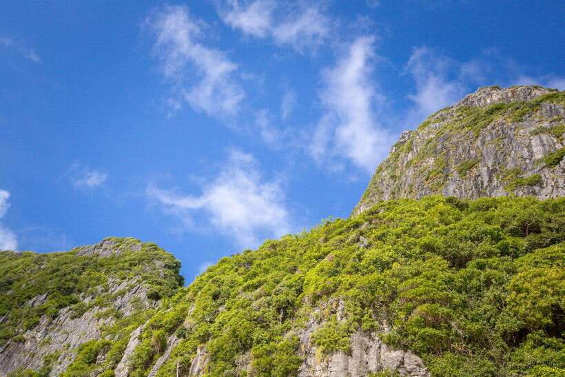 Phi Phi: 7 Island Day Tour by Longtail Boat - Maya Bay is the main event