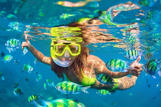 Phi Phi & Bamboo Islands Snorkeling Tour with Lunch by Speedboat - Phi Phi Leh and the cliffs of Maya Bay
