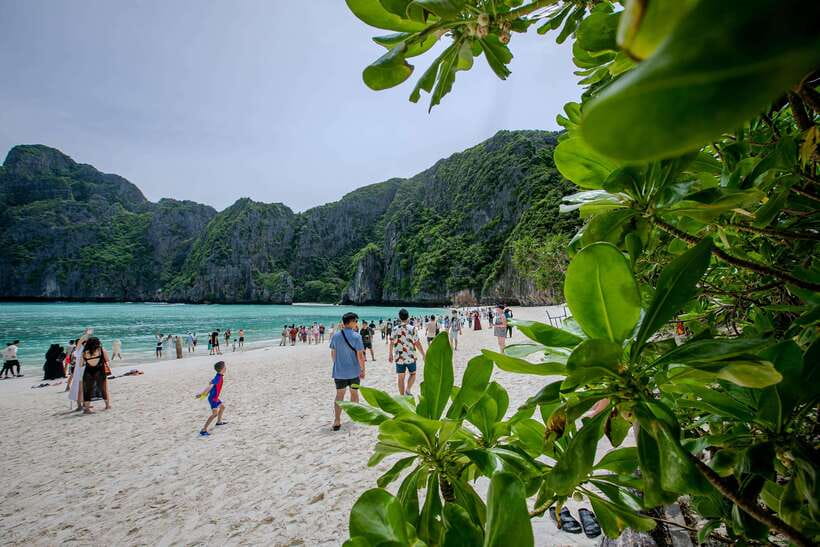 Phi Phi Island: Maya bay Sunset & Plankton by Speedboat - Starting at Tonsai Bay