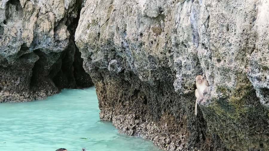 Phi Phi Islands: Private Longtail Boat 6-hour Trip - Is $144 good value?