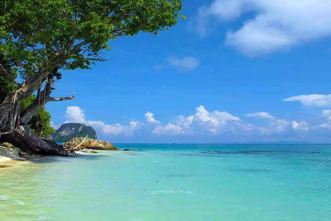Phi Phi & Maya Bay Speedboat: All-Day Food & Choice of 3 Marinas - Phi Phi Don brings lunch and a needed pause