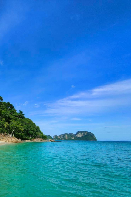 Phi Phi: One Day trip by Long Tail Boat (7 island) - Monkey Beach, where the day starts with wildlife