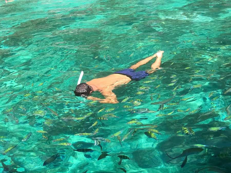Phi Phi: Private 7 Islands Longtail to Maya Bay and Bamboo - Monkey Beach and Viking Cave set the tone