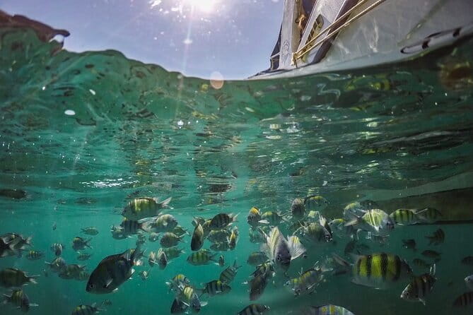 Phi Phi with Maya and Bamboo Island Day Trip by Speedboat - Lunch on Phi Phi Don breaks up the water time