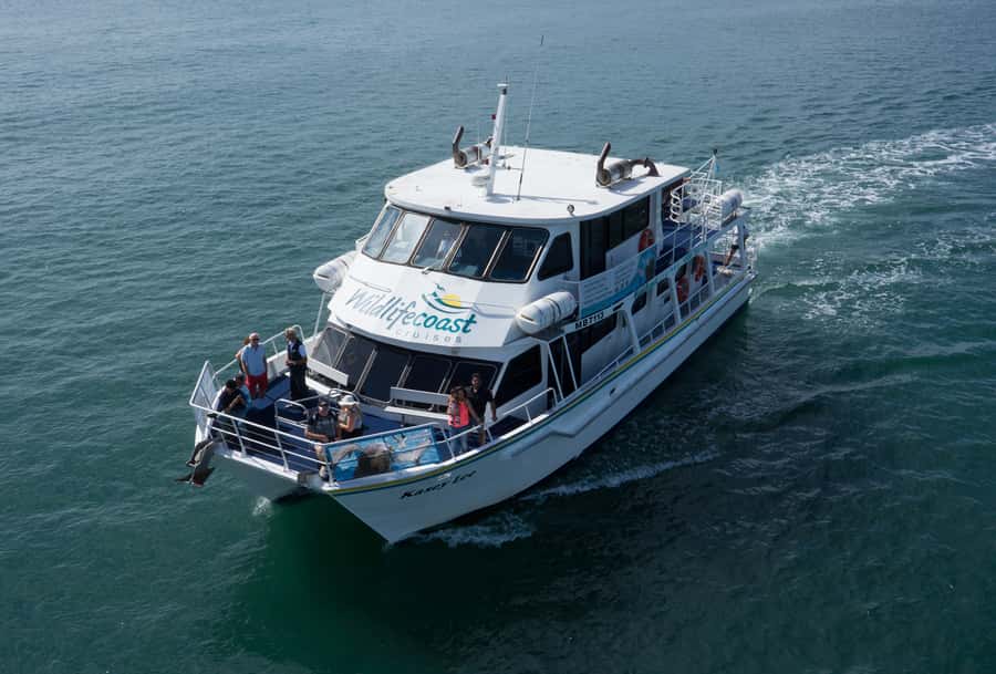 Philip Island: Dolphin and Whale Cruise - How the three hours are likely to feel