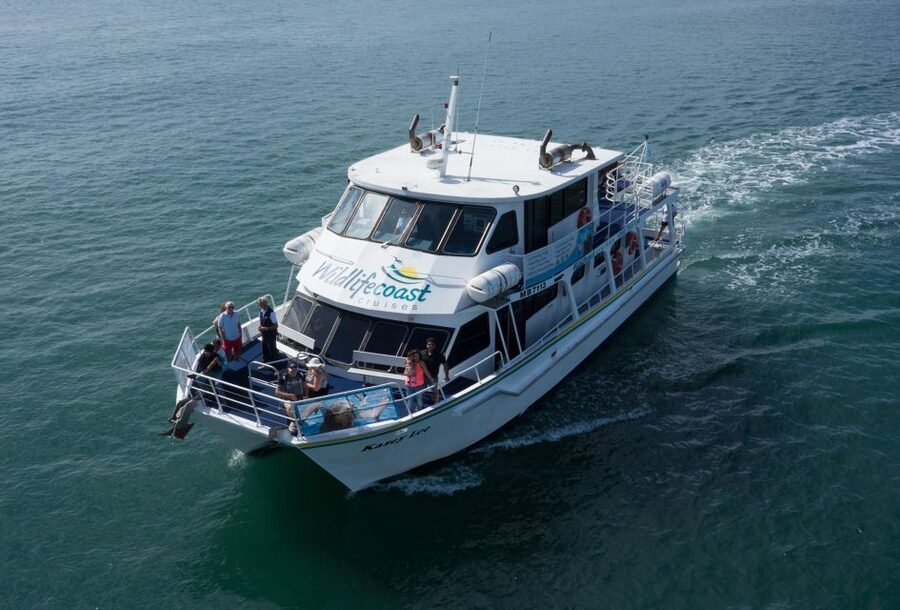 Philip Island: Dolphin and Whale Cruise - Is $95 good value?