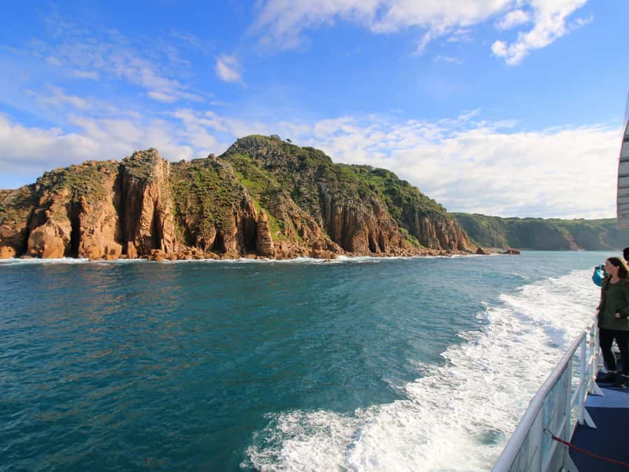 Philip Island: Dolphin and Whale Cruise - Booking advice for a better day