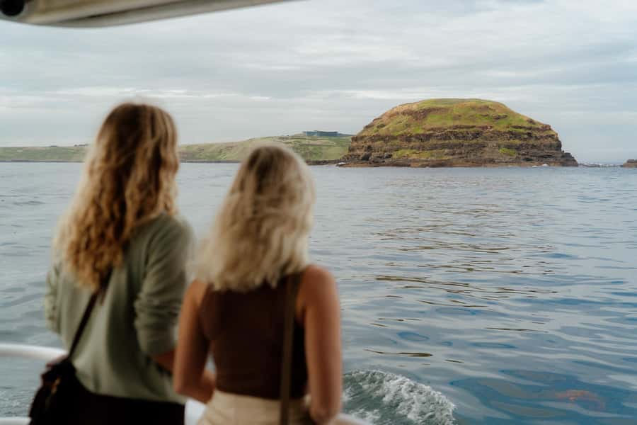 Philip Island: Seal Watching Cruise - Seal Rocks and the Australian Fur Seal Colony