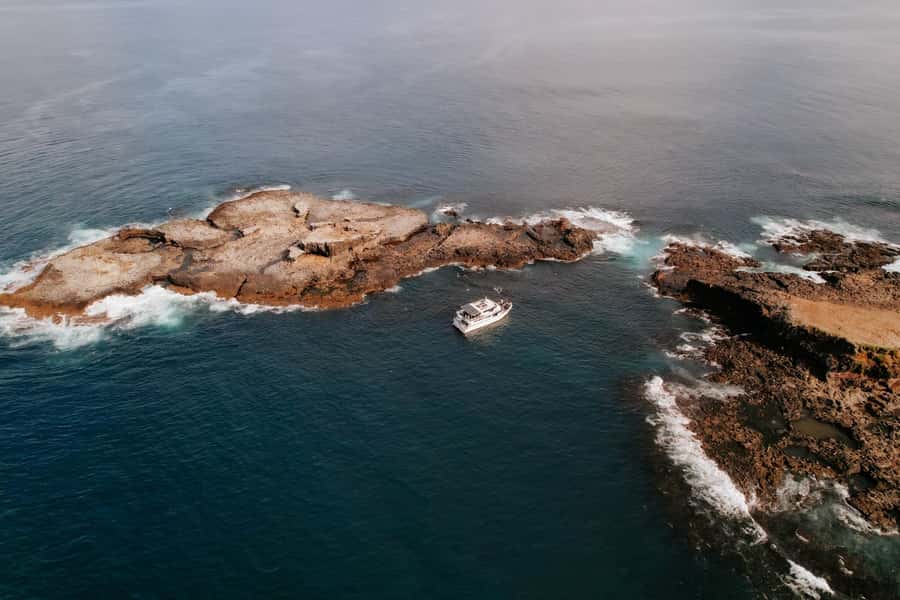 Philip Island: Seal Watching Cruise - Sea Conditions and Seasickness