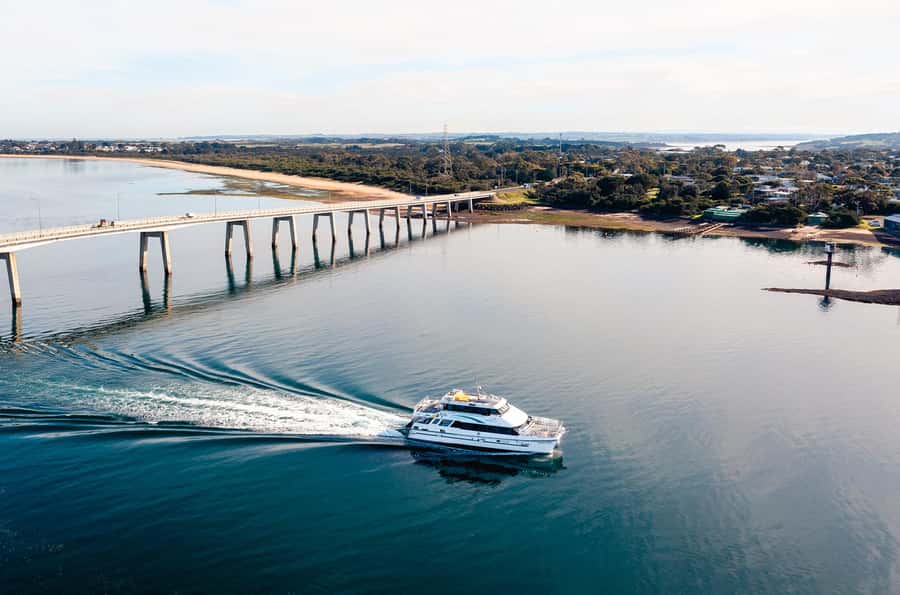 Phillip Island: 1-Hour Cape Woolamai Scenic Cruise - What the $34 price really buys you