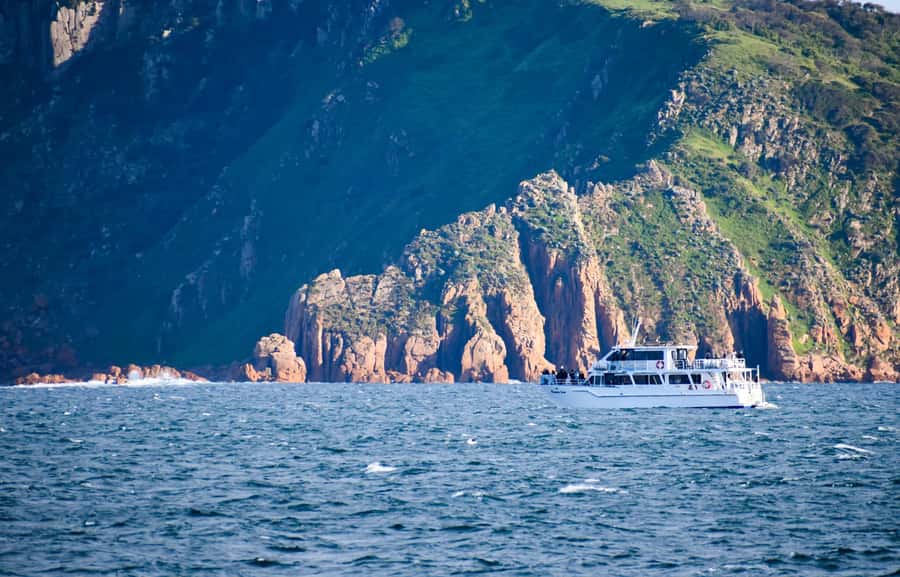 Phillip Island: Whale Watching Boat Tour - Practical Tips for Making the Most of the Day
