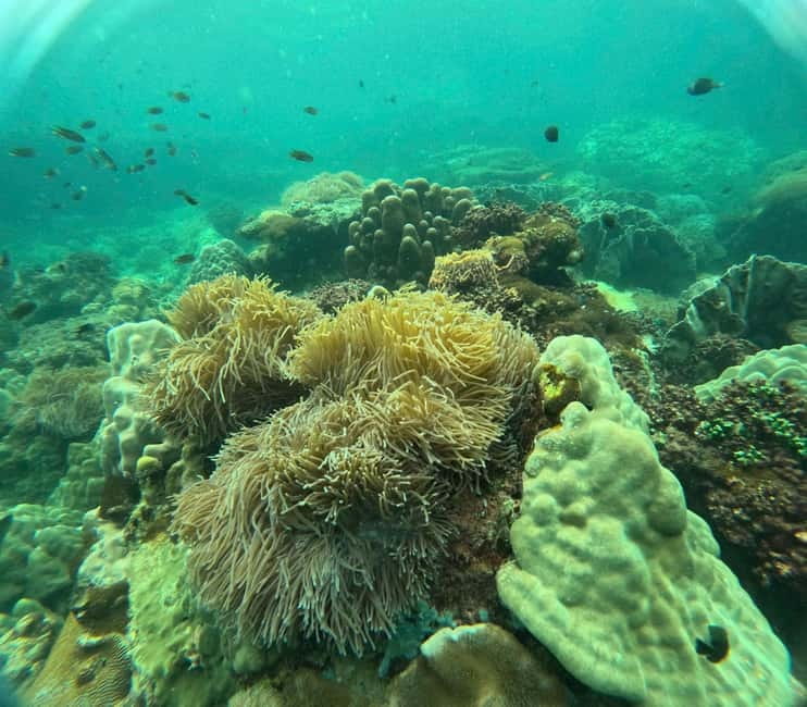 Phu Quoc: Snorkeling and Island Hopping by Speedboat & Lunch - Key points to know before booking