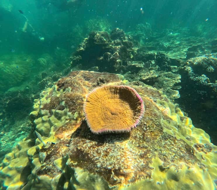 Phu Quoc: Snorkeling and Island Hopping by Speedboat & Lunch - May Rut Ngoai for beach time and photographs