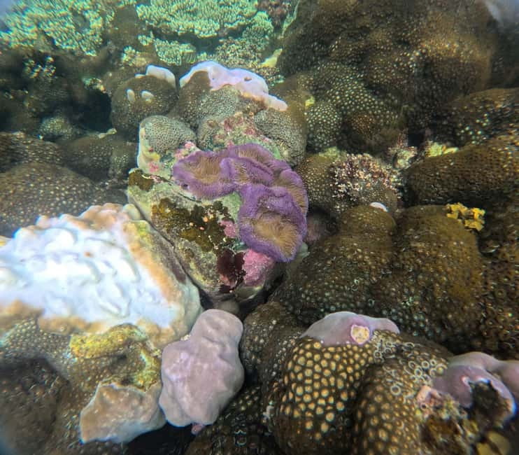 Phu Quoc: Snorkeling and Island Hopping by Speedboat & Lunch - Who will enjoy this day most