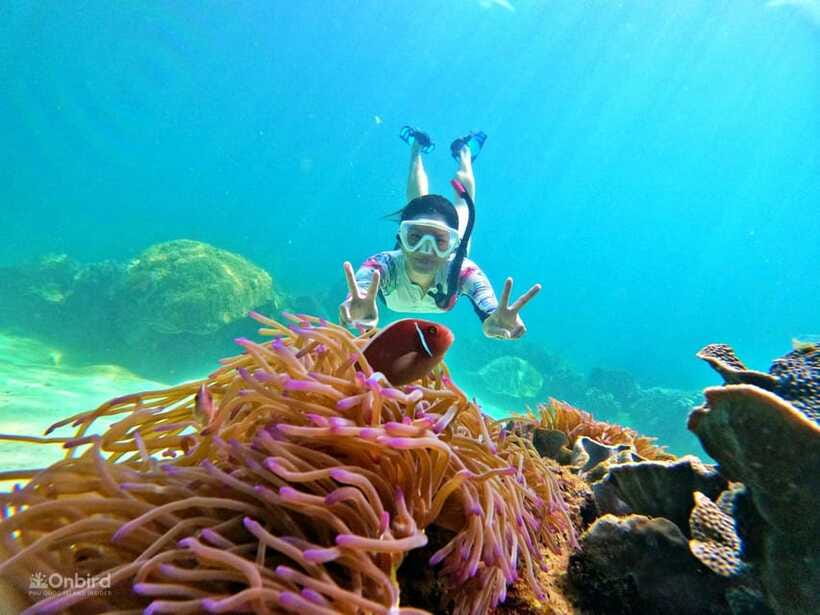 Phu Quoc: Speed Boat Tour 4 Islands - 2 Reefs Snorkeling - Two coral reefs with changing conditions