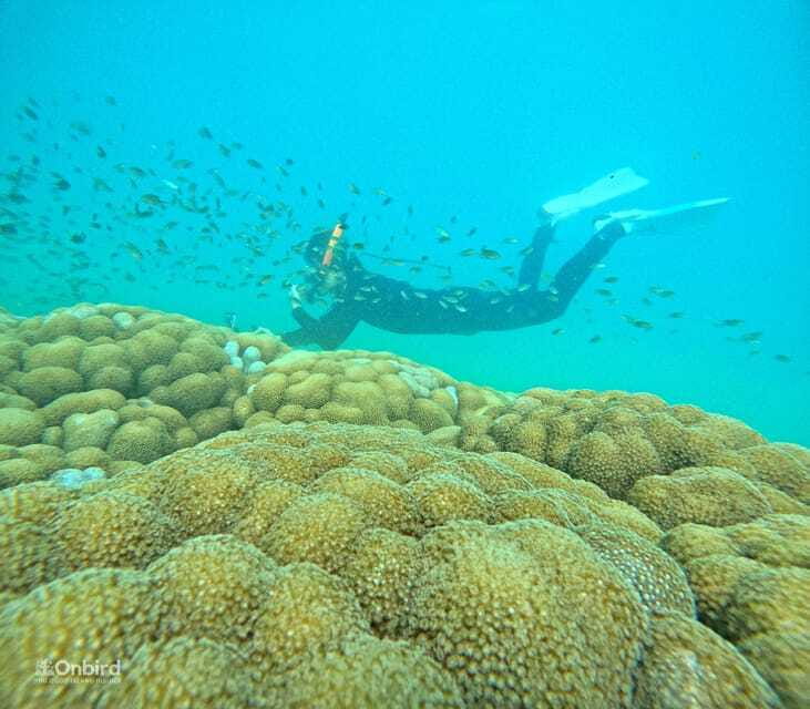 Phu Quoc: Speed Boat Tour 4 Islands - 2 Reefs Snorkeling - Island beach time, fruit, and a quiet break