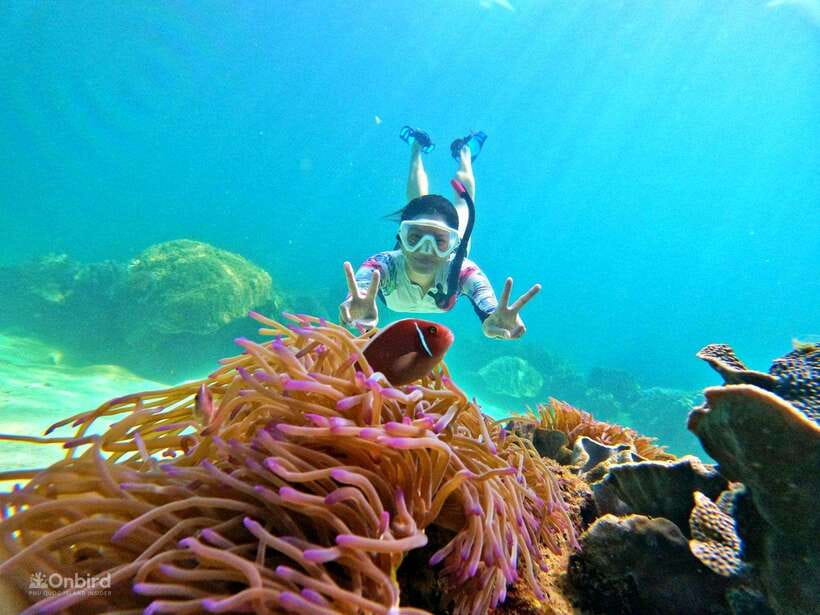 Phu Quoc: Speed Boat Tour 4 Islands - 2 Reefs Snorkeling - The six-hour route from harbor to reef