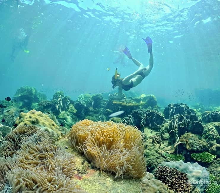 Phu Quoc Speedboat Pro Snorkeling: 4 Islands-2 Reefs & Meal - Why this Phu Quoc snorkeling trip feels different
