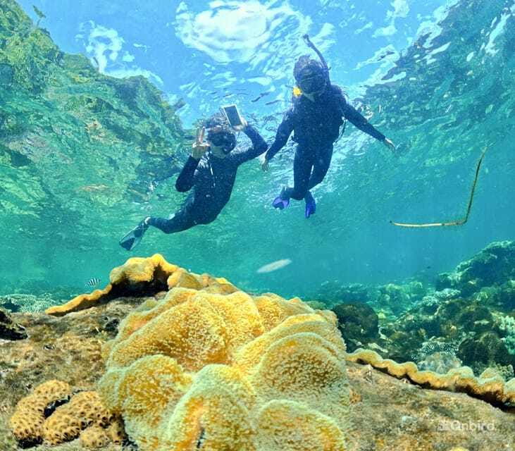 Phu Quoc Speedboat Pro Snorkeling: 4 Islands-2 Reefs & Meal - Who will get the most from this outing