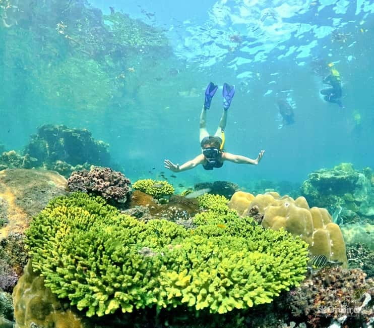 Phu Quoc Speedboat Pro Snorkeling: 4 Islands-2 Reefs & Meal - FAQ