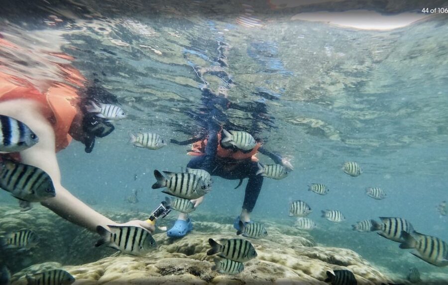 Phu Quoc: Speedboat Tour of 4 Islands with Snorkeling & BBQ - Mainland seafood BBQ at around 2 p.m.