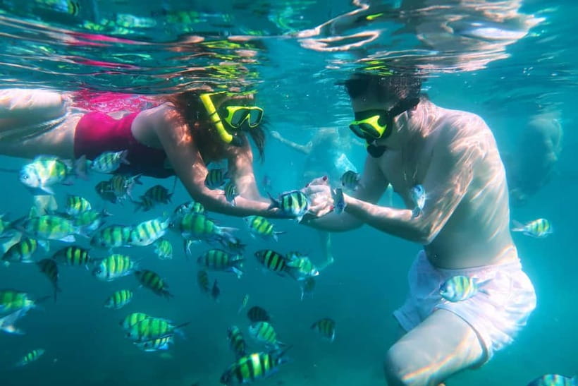 Phuket: 3 Khai Islands Speedboat Tour- Snorkeling & Relaxing - Simple ways to make the day better