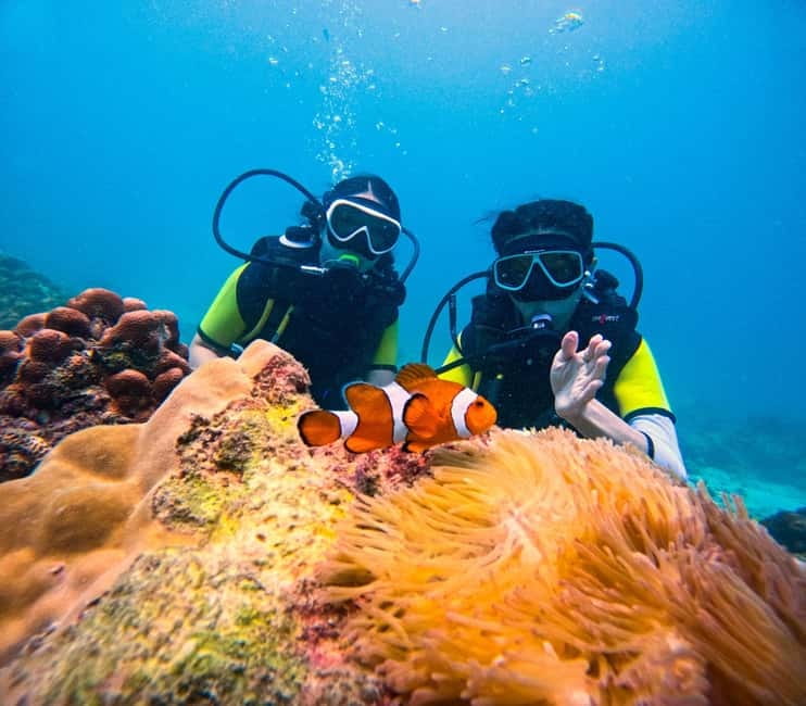Phuket: 3 Khai Islands Speedboat Tour- Snorkeling & Relaxing - Half-day or full-day: choose the right rhythm