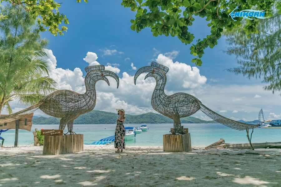 Phuket: Coral Island Day Tour by Speedboat - The return trip to Phuket