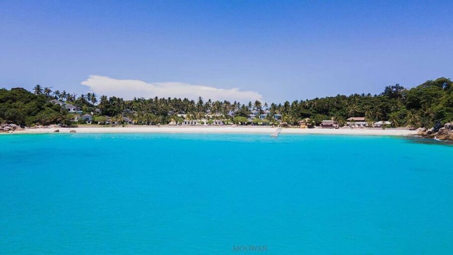 Phuket: Coral & Racha Islands Day Trip By Speedboat - Who should book this Phuket island trip?