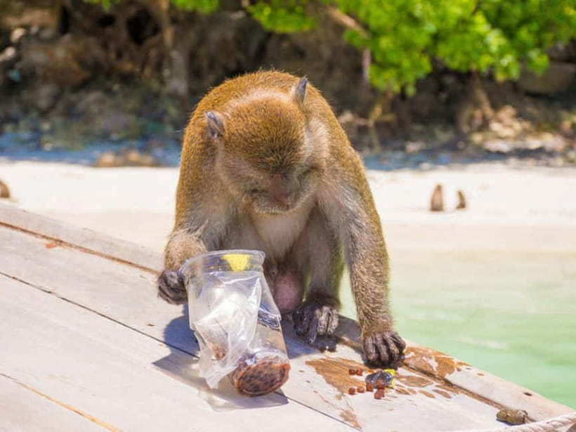 Phuket: James Bond Island Sea Canoe with lunch by Big Boat - A full day in Phang Nga Bay for $67