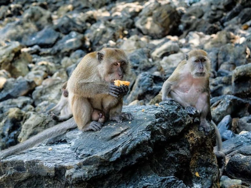 Phuket: James Bond Island Sea Canoe with lunch by Big Boat - Hong Island by guided sea canoe