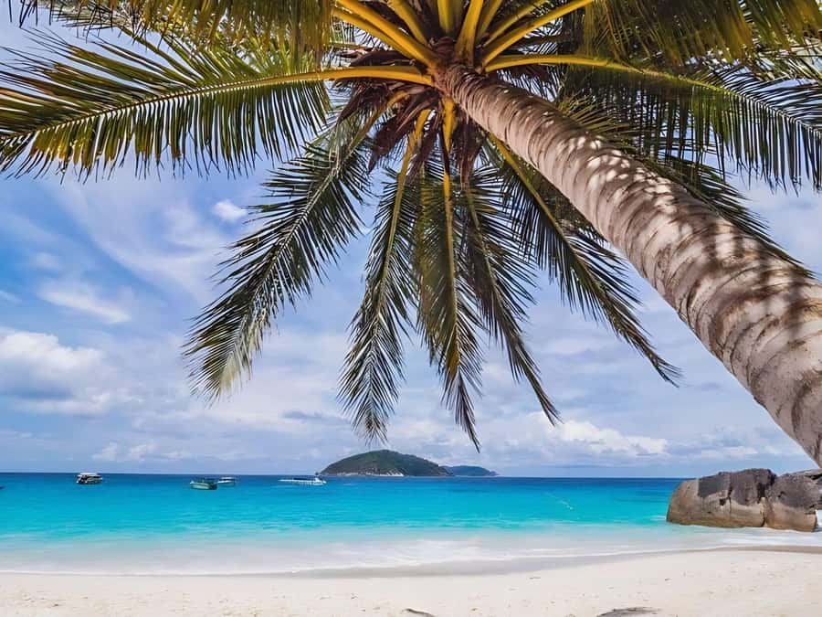 Phuket/Khao Lak: Similan Islands by Speedboat - Lunch, Sail Rock, and Donald Duck Bay
