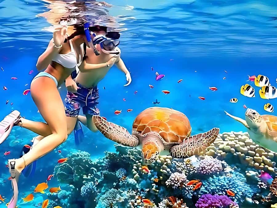 Phuket/Khao Lak: Similan Islands by Speedboat - Who will enjoy this trip most