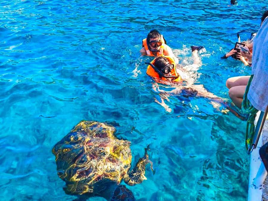 Phuket/Khao Lak: Similan Islands Speedboat Tour with Lunch - Ko Miang: Thai Lunch and White Sand