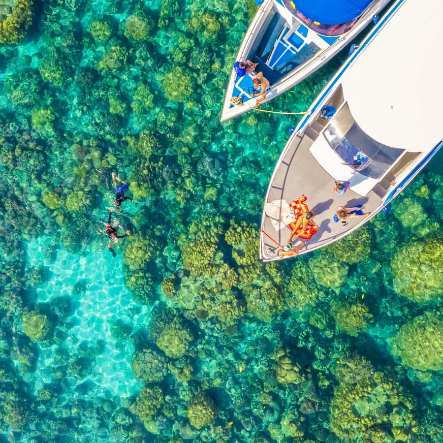 Phuket/Khao Lak: Similan Islands Speedboat Tour with Lunch - Payu Island and the Search for Nemo