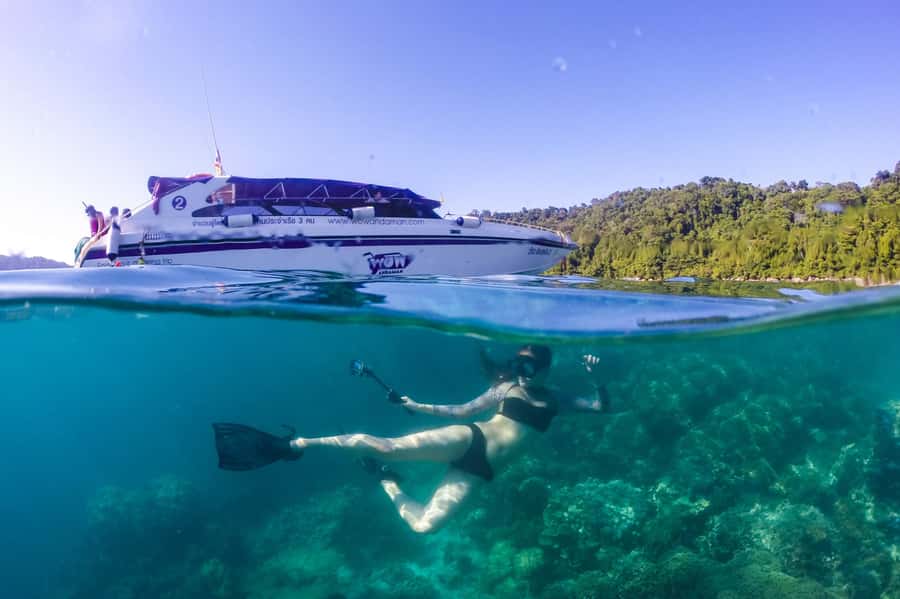 Phuket/Khao Lak: Speedboat Snorkel Tour to Similan Islands - What the snorkeling is really like