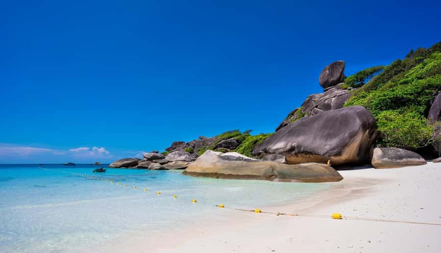Phuket/Khaolak: Similan Islands Speed Catamaran Premium Trip - The guide and the group experience