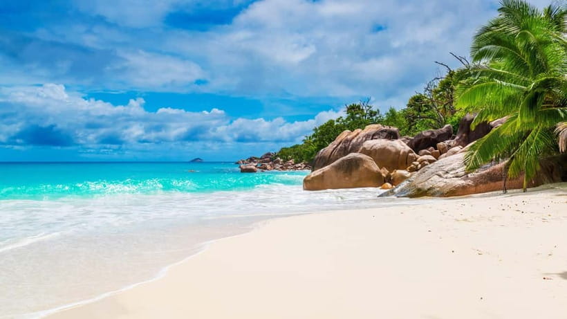 Phuket : Lazy Similan Islands by Catamaran with lunch - Christmas Point and Namchai Bay snorkeling