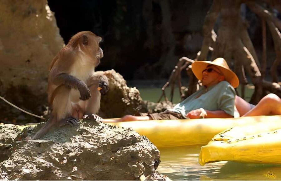 Phuket: Phang Nga,Hong & James Bond Islands by Big Boat - Why this Phang Nga Bay day works