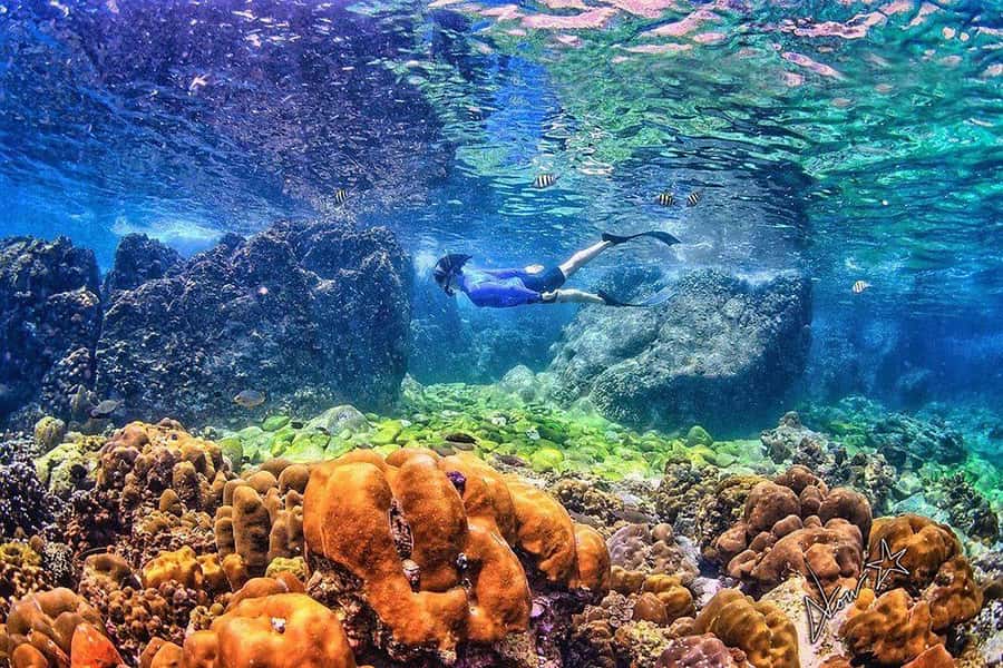 Phuket: Phi Phi & Bamboo Islands Snorkeling by Speedboat - Swimming in Pileh Lagoon