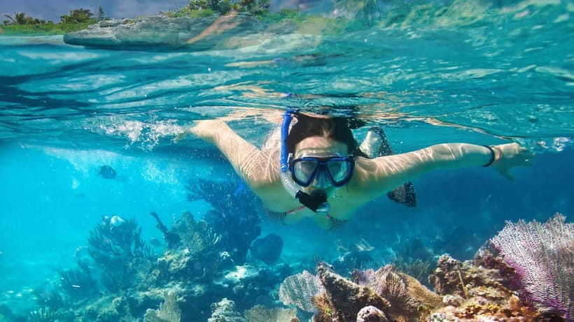 Phuket : Phi Phi Island Trip by Speedboat with Lunch - Who Should Book This Phi Phi Speedboat Trip?