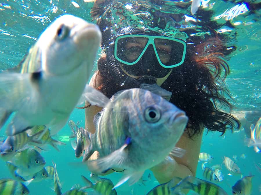 Phuket: Phi Phi & James Bond Island Combo Day Tour w/Lunch - The morning transfer to Royal Phuket Marina