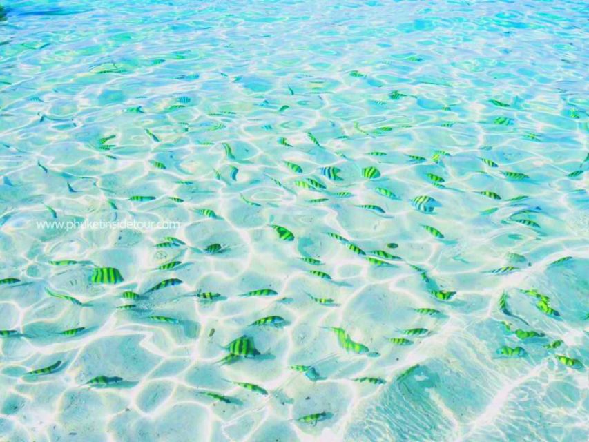 Phuket: Phi Phi & Khai Island Private Speedboat Charter Tour - Pileh Bay and the appeal of clear water