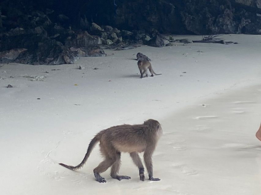 Phuket: Phi Phi & Khai Island Private Speedboat Charter Tour - Lunch on the beach and free time