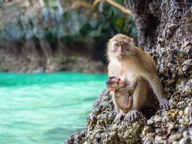 Phuket: Phi Phi, Maya and Khai Or Bamboo Island by Catamaran - Pileh Lagoon and the short long-tail ride