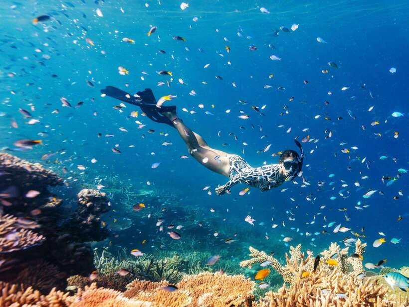 Phuket: Phi Phi, Maya and Khai Or Bamboo Island by Catamaran - Pickup, marina breakfast, and the catamaran ride